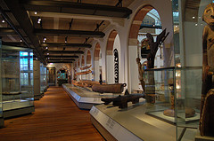 Le musée des Tropiques