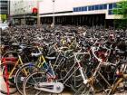 אמסטרדם עם אופניים