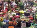 Virágpiac (Bloemenmarkt)